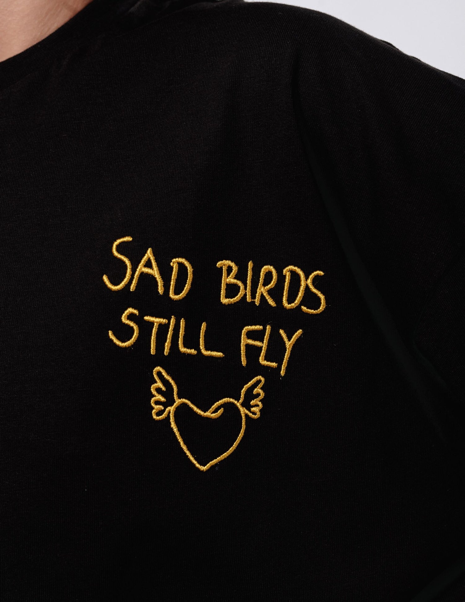 Sad Birds Still Fly Shirt